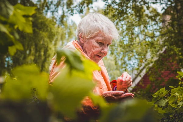 Adult Care Advisors